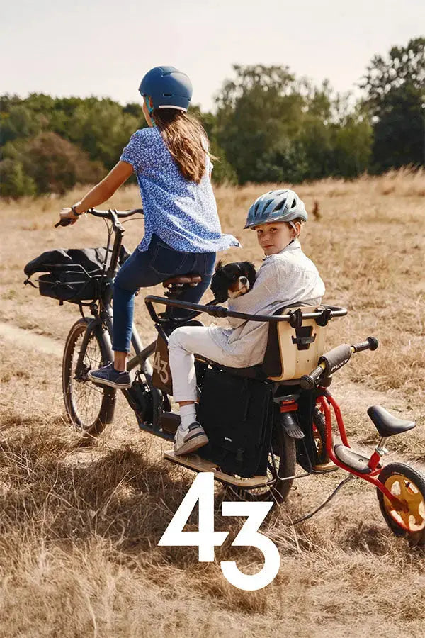 Bike43
