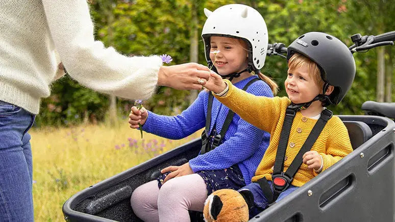 Trikes for Families