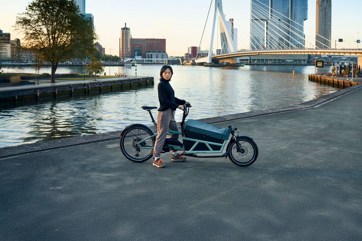 Electric Bike Sale