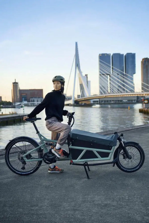 Riese & Müller Load5 60 Accessories