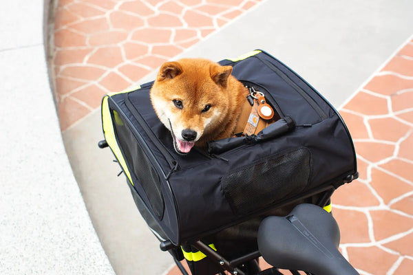 Tern Dog & Pet Accessories