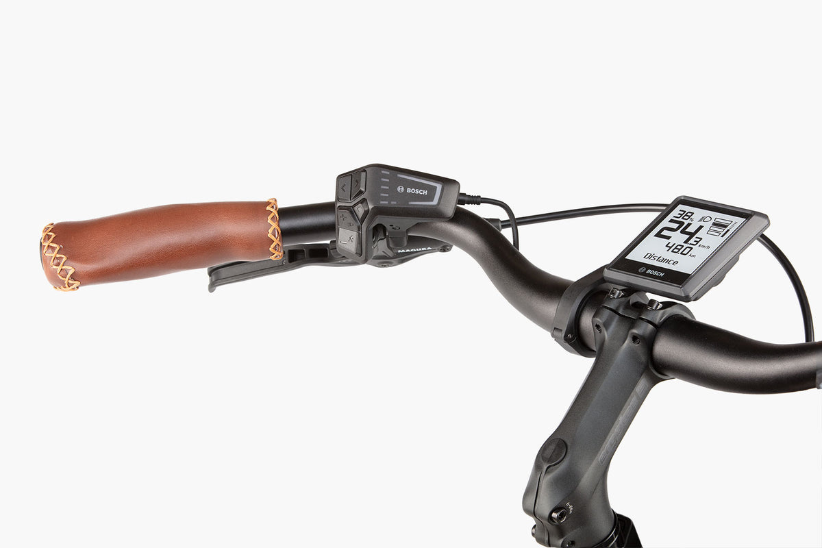 Riese and Müller Cruiser2 Mixte — End of Season