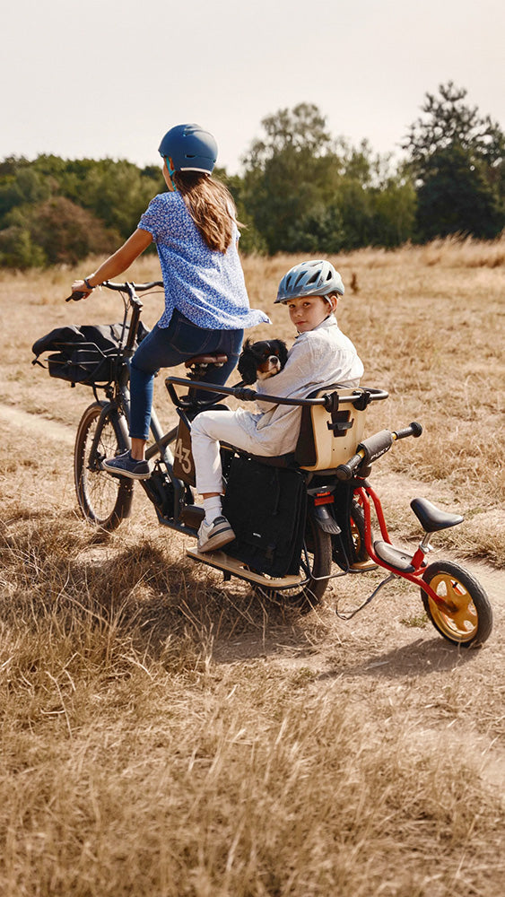 Bike43 longtail family bike for 3 kids