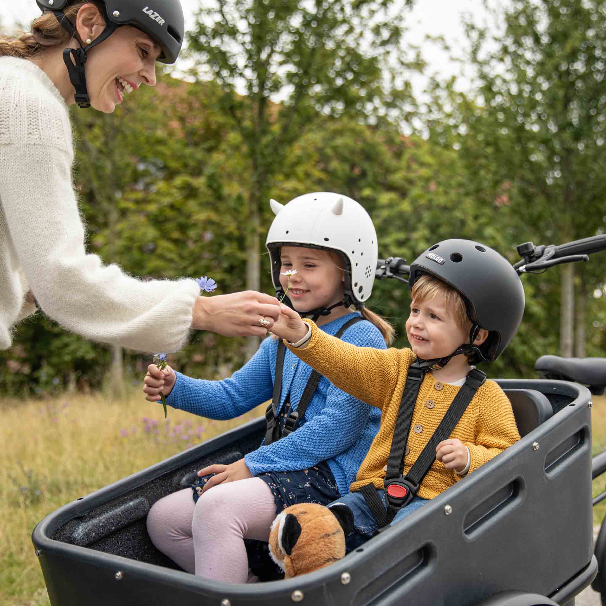 Black Iron Horse family bike