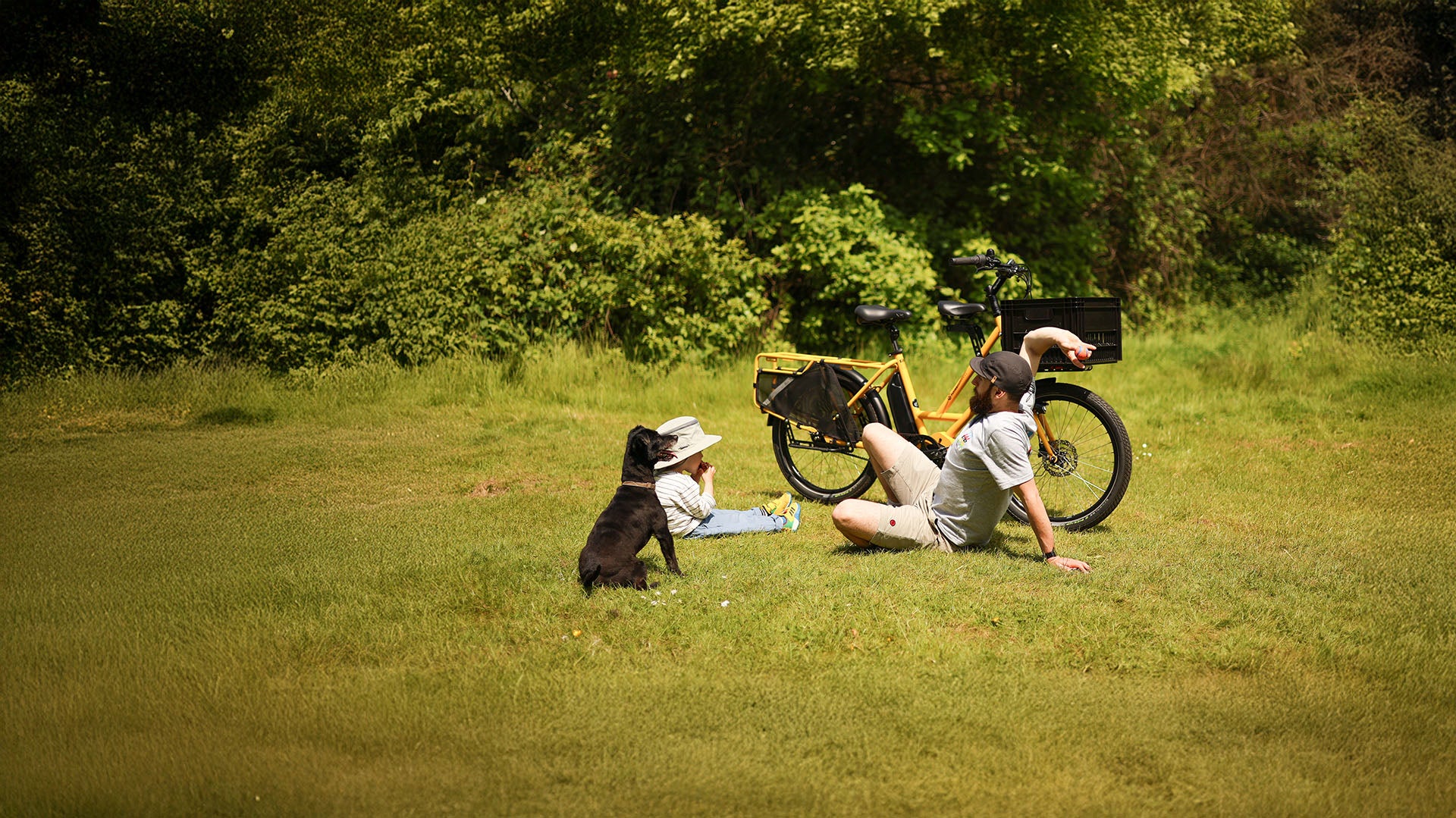 Electric family bikes guide, Flying Dutchman