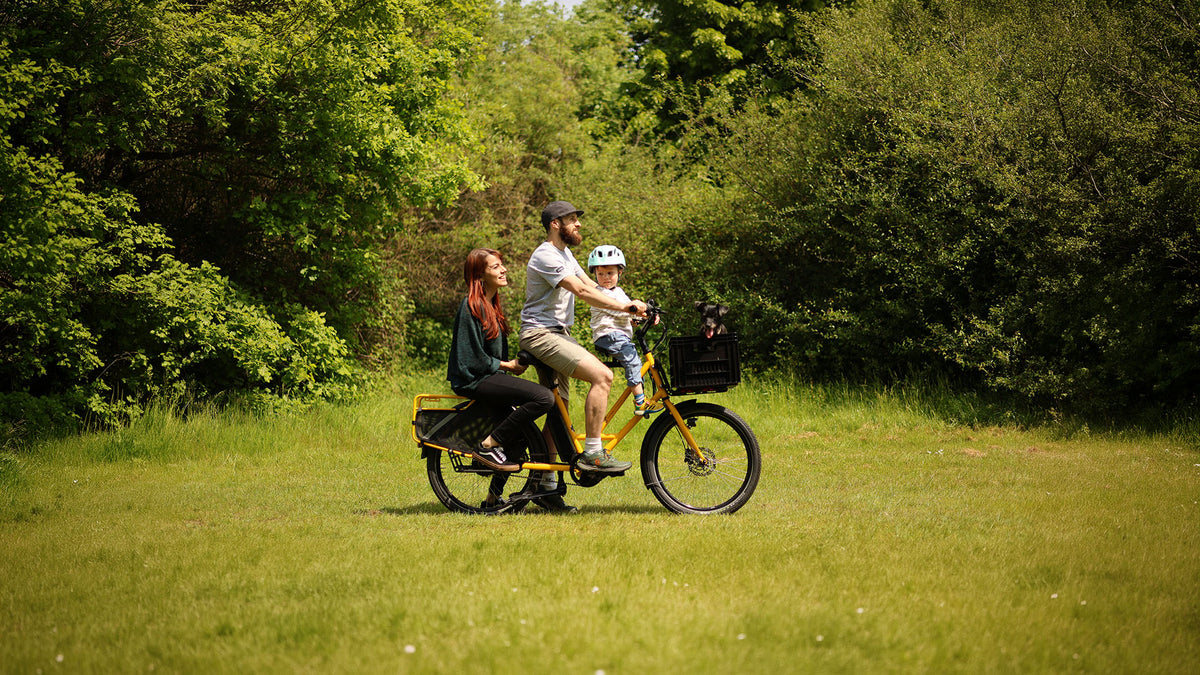 Family bike for carrying kids in yellow, Flying Dutchman