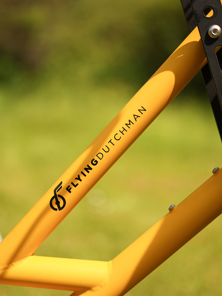 Flying Dutchman London family cargo bike specialist