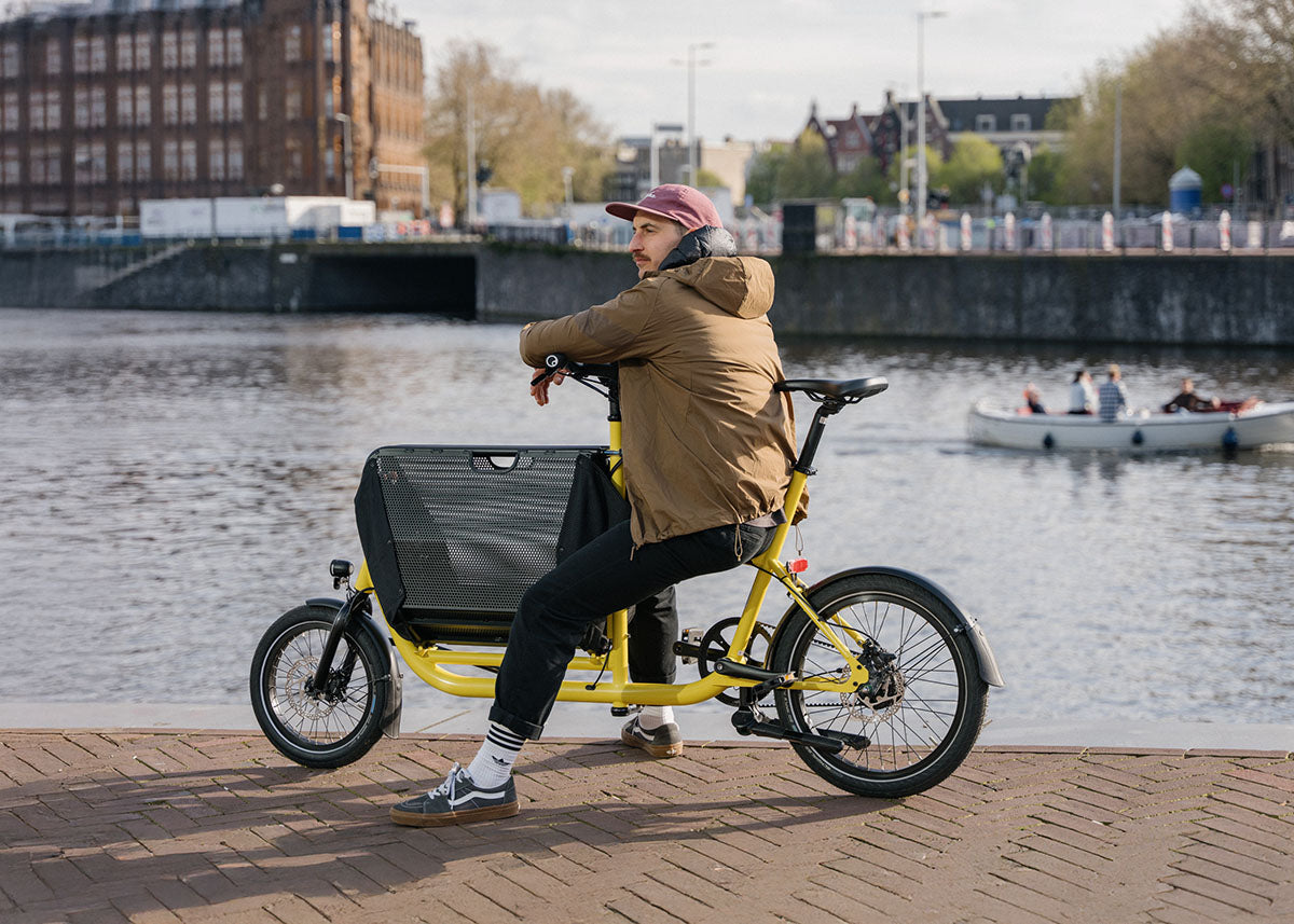 Muli Muskel in Yellow Lifestyle3