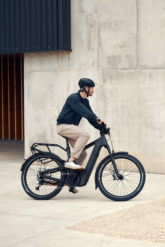 Riese & Müller Delite5 electric city bike
