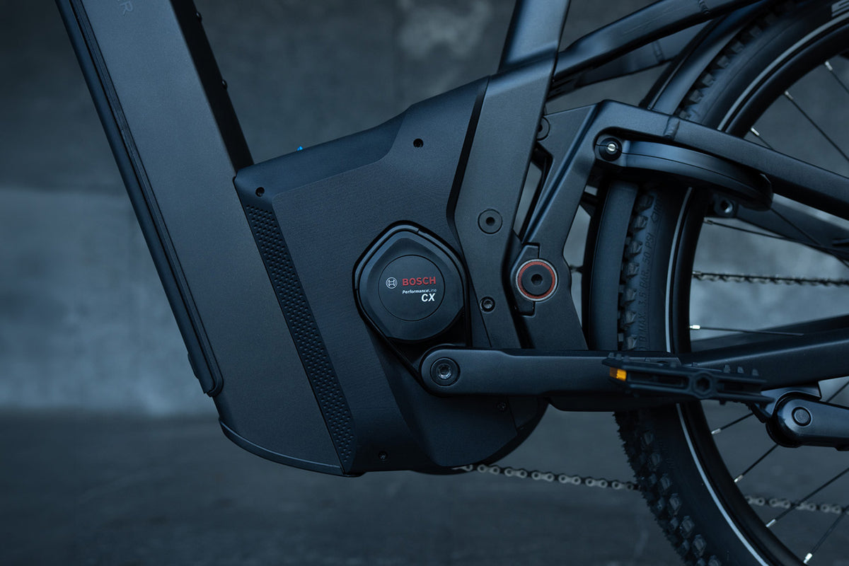 Riese & Müller Delite5 electric city bike