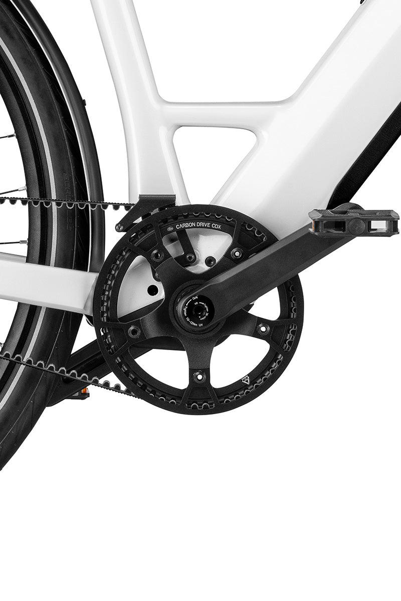 Riese & Müller UBN Six — Gates Carbon Drive CDX belt chainring and crank close-up