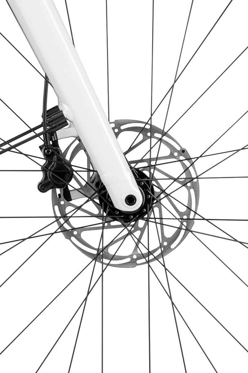 Riese & Müller UBN Six — front disc brake rotor and caliper on the white fork