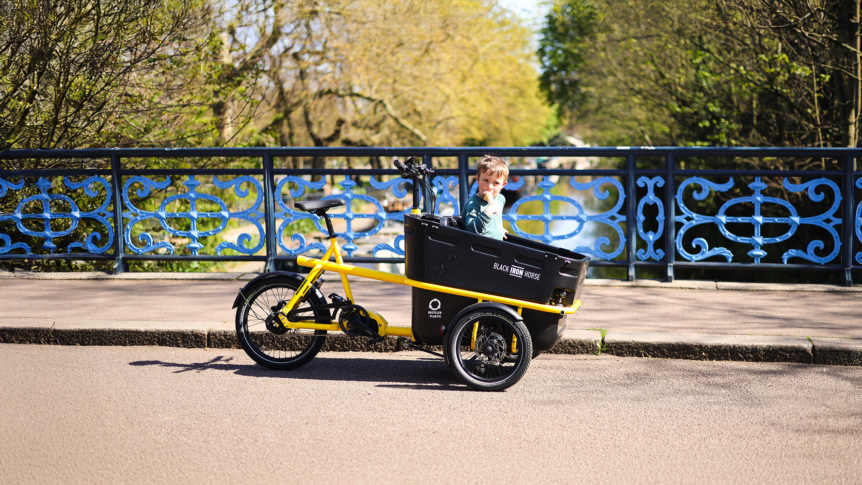 Black Iron Horse electric trike for 2 kids
