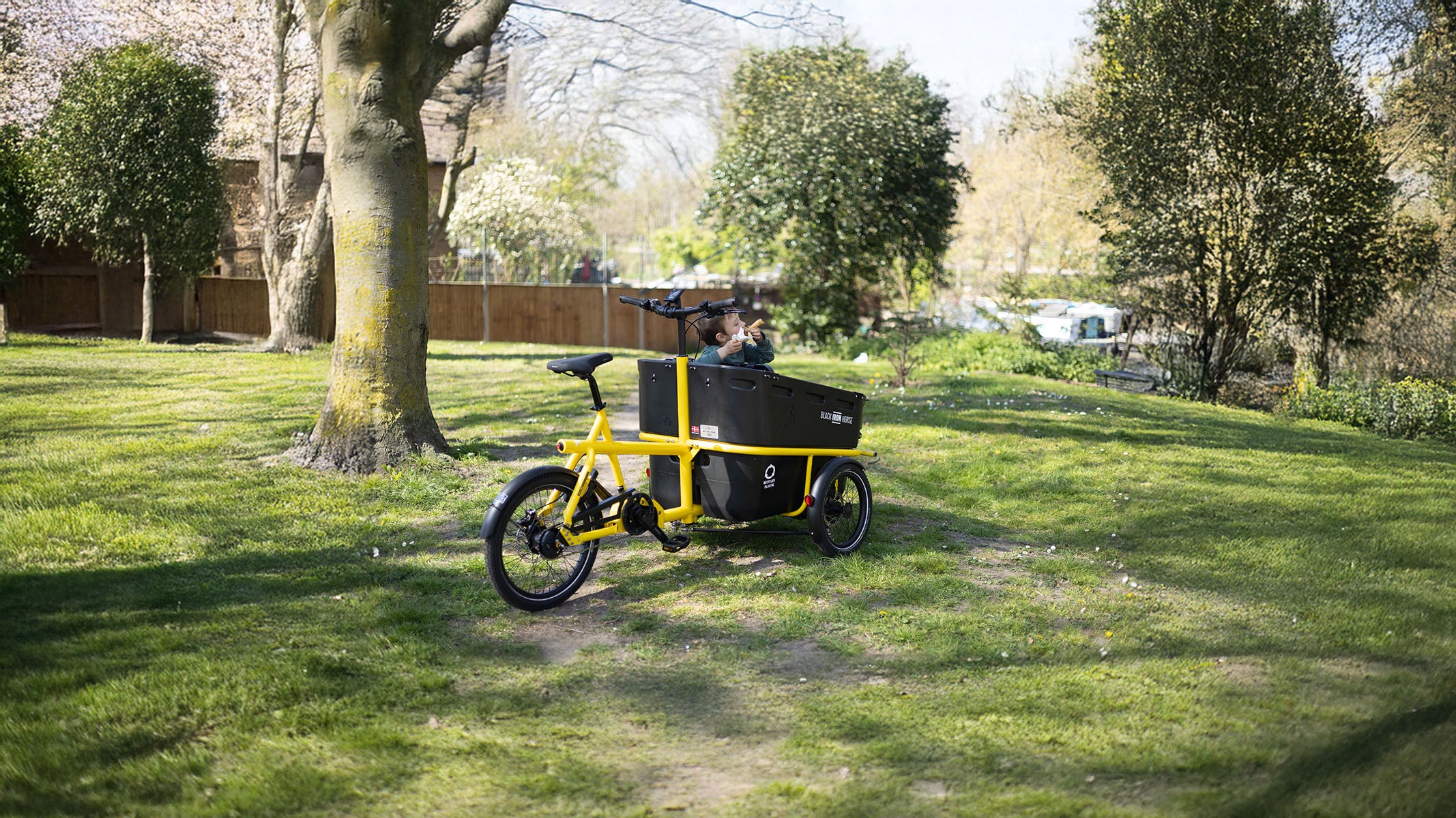 Black Iron Horse electric trike for 2 kids