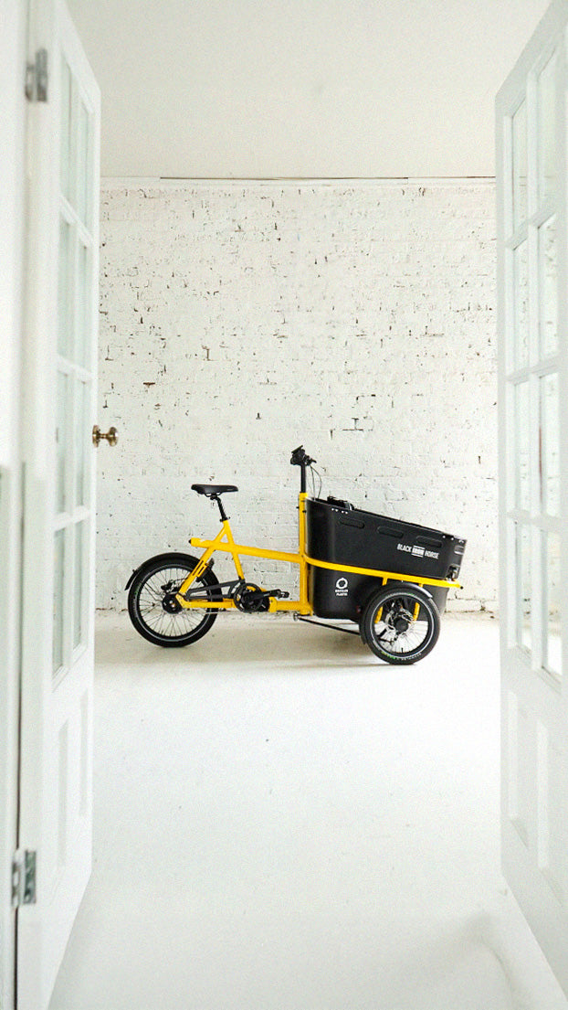 Black Iron Horse electric trike for 2 kids
