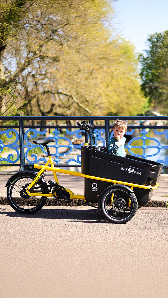 Black Iron Horse electric trike for 2 kids
