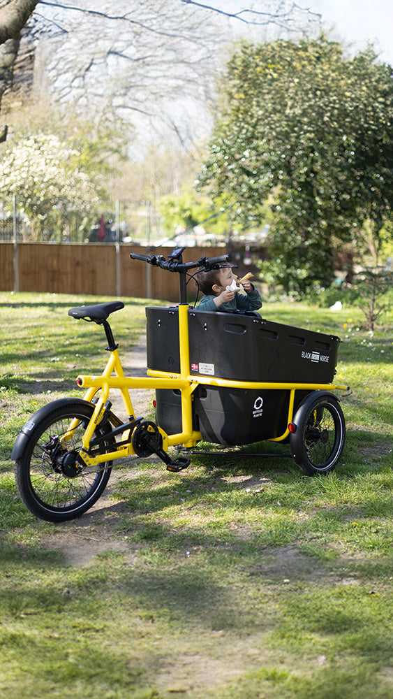Black Iron Horse electric trike for 2 kids