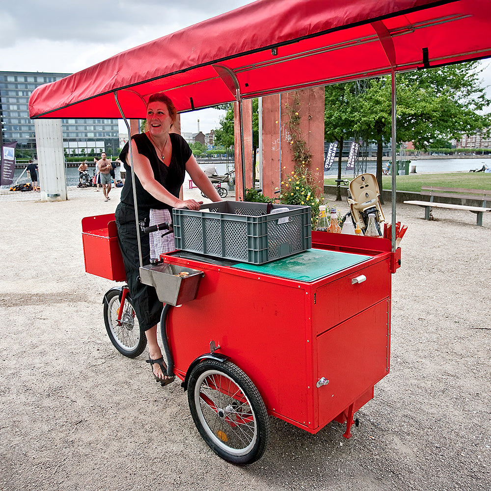 Black Iron Horse Ox electric cargo trike with lock box