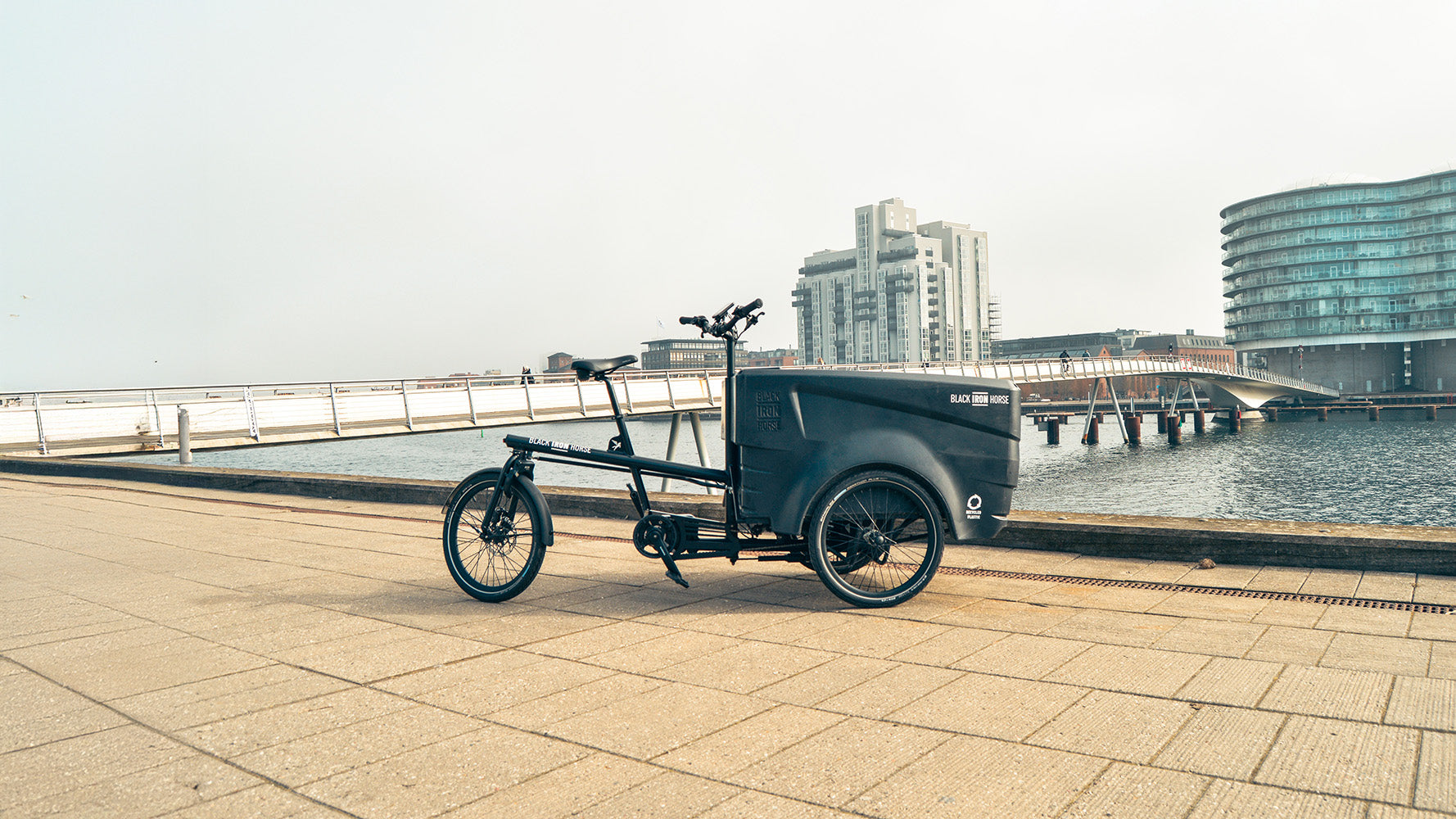 Black Iron Horse Polly electric trike for 6 kids