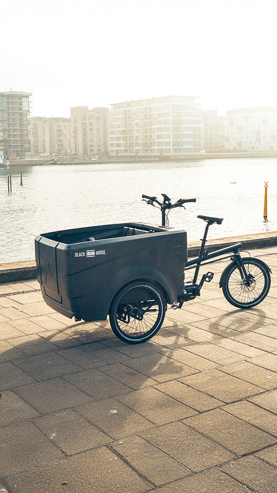 Black Iron Horse Polly electric trike for 6 kids