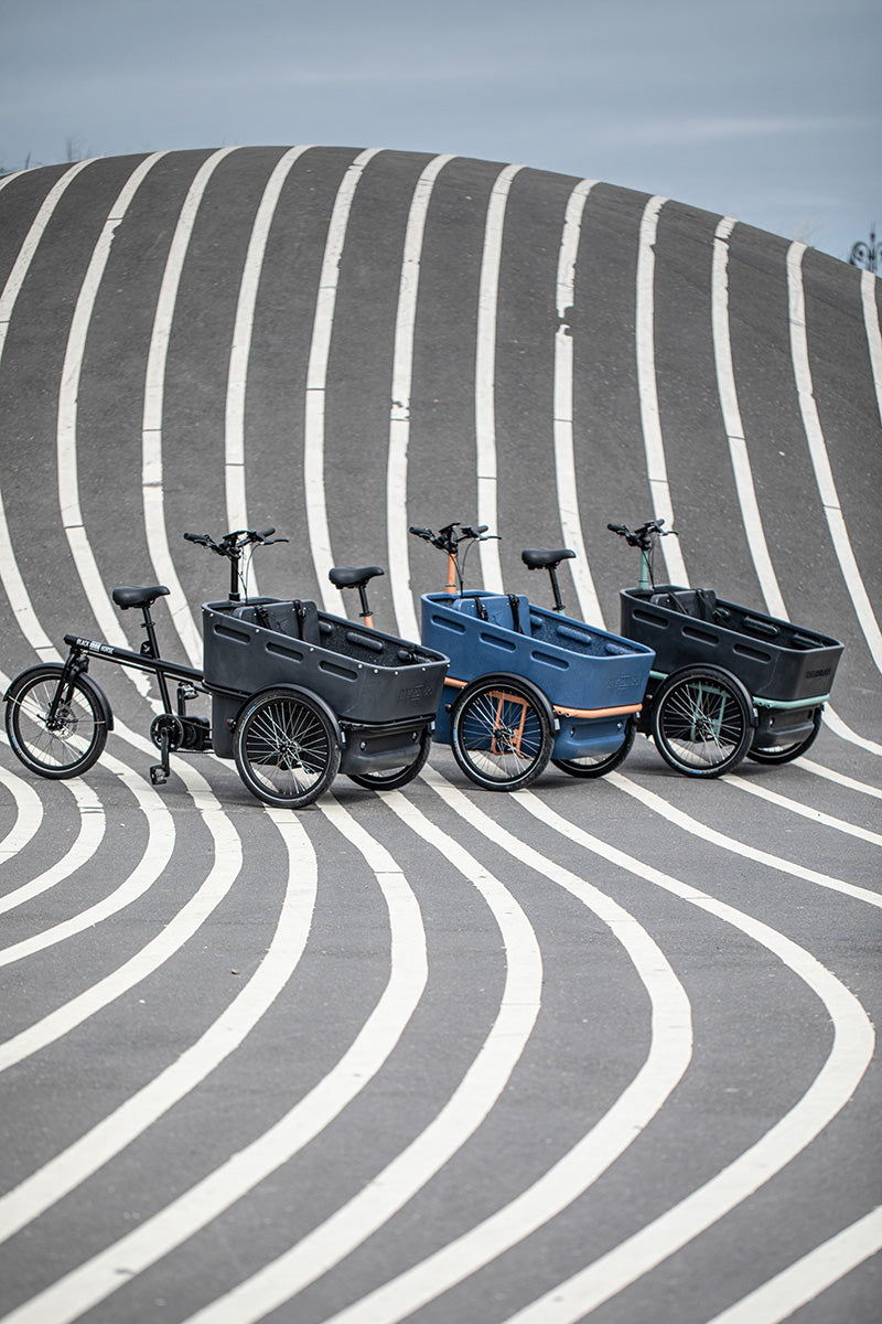 Black, blue and grey Black Iron Horse cargo trikes parked in a row on a striped cycle track
