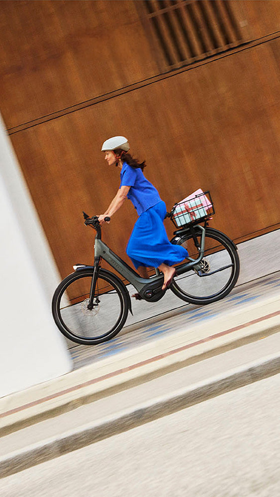 Gazelle Avignon Dutch electric city bike
