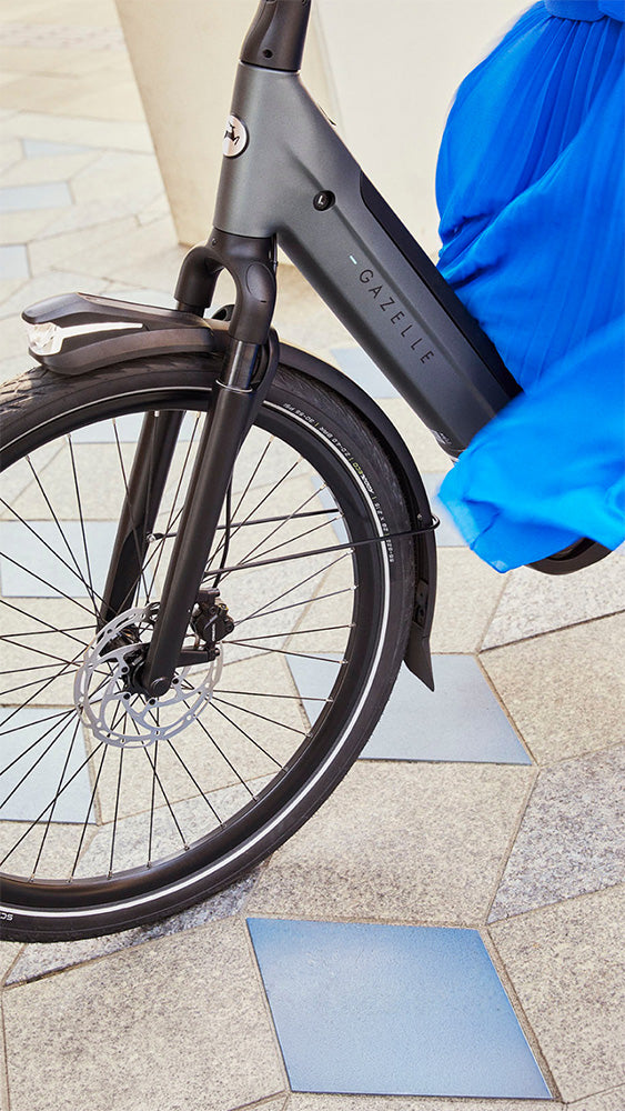 Gazelle Avignon Dutch electric city bike