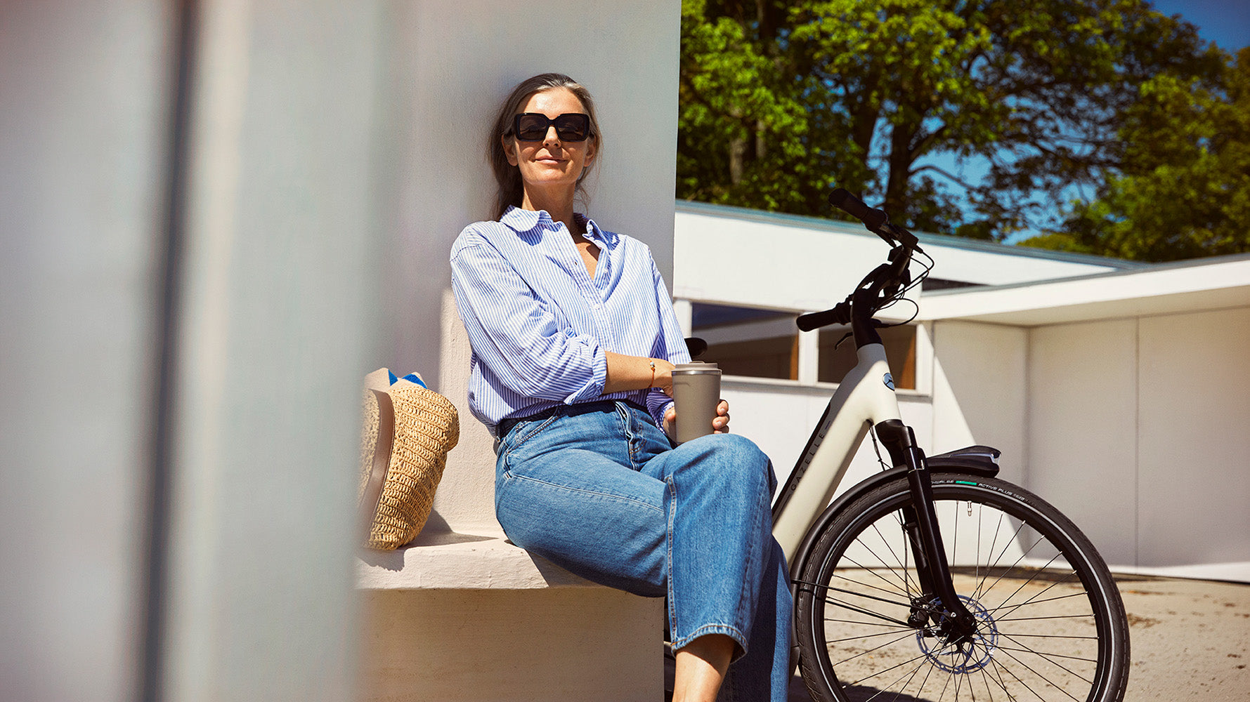 Gazelle Grenoble Dutch electric city bike