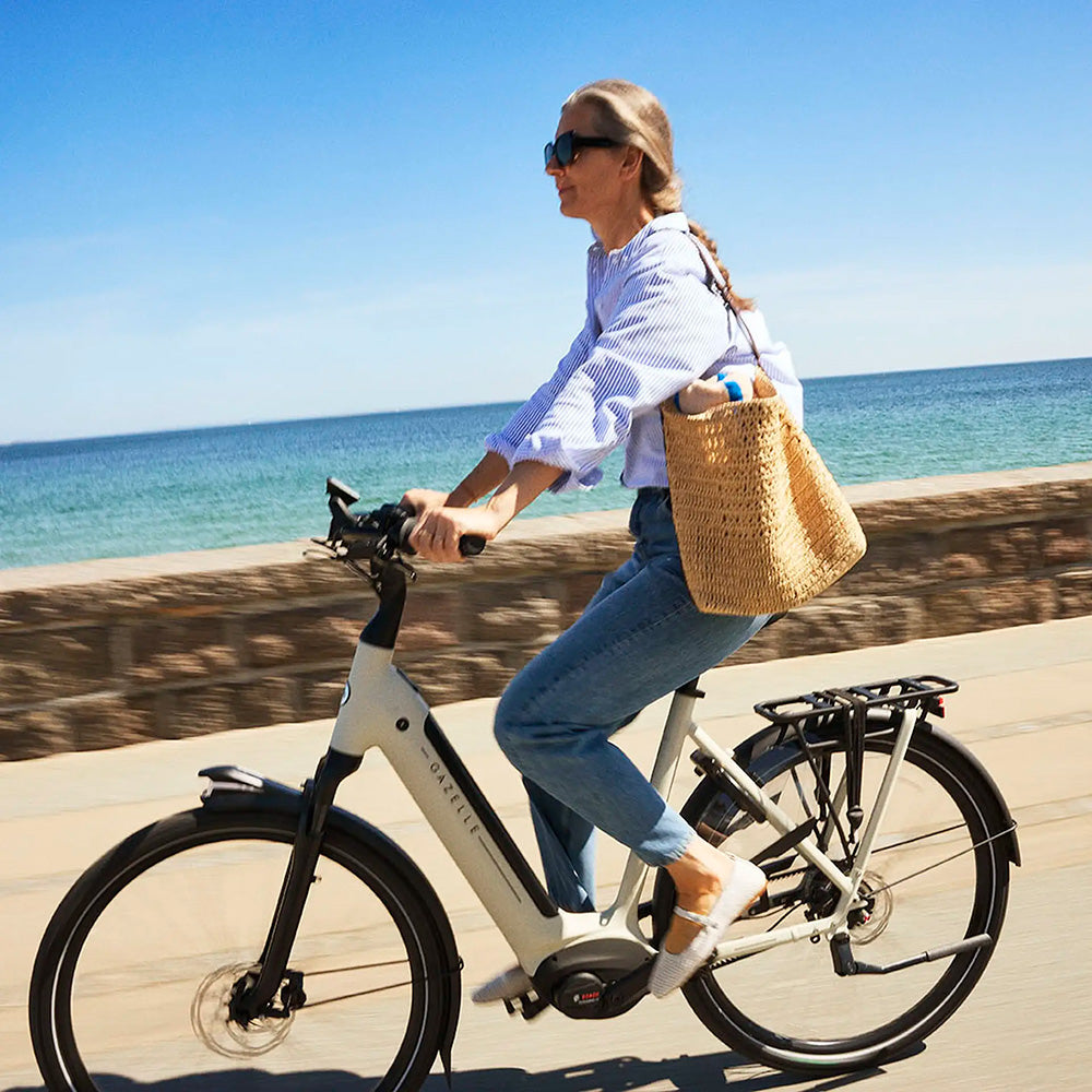 Gazelle Grenoble Dutch electric city bike