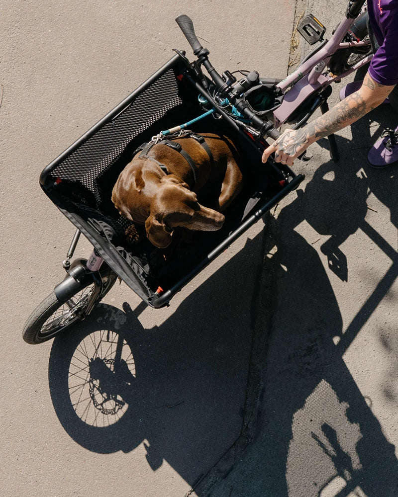 Muli electric folding cargo bike