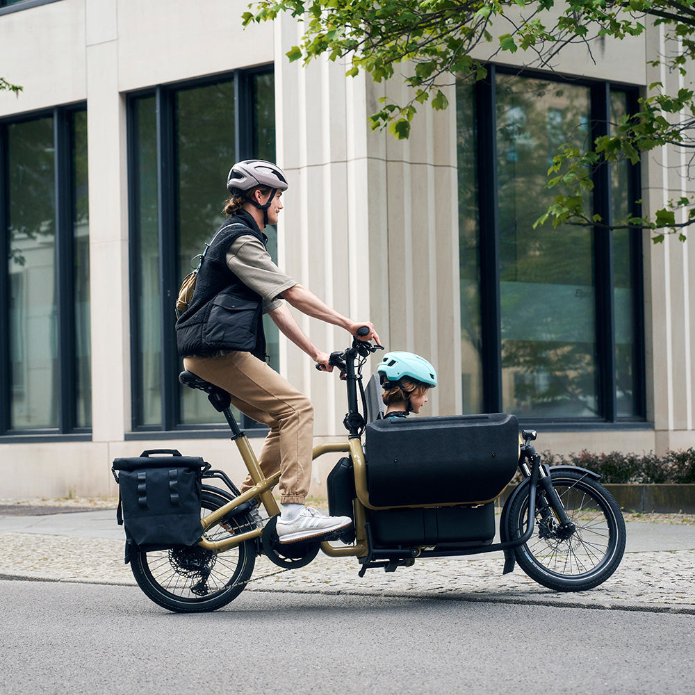 Riese & Müller Carrie box family bike in Anise