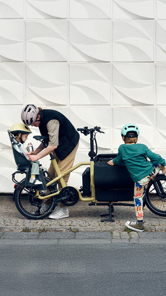 Riese & Müller Carrie box family bike in Anise