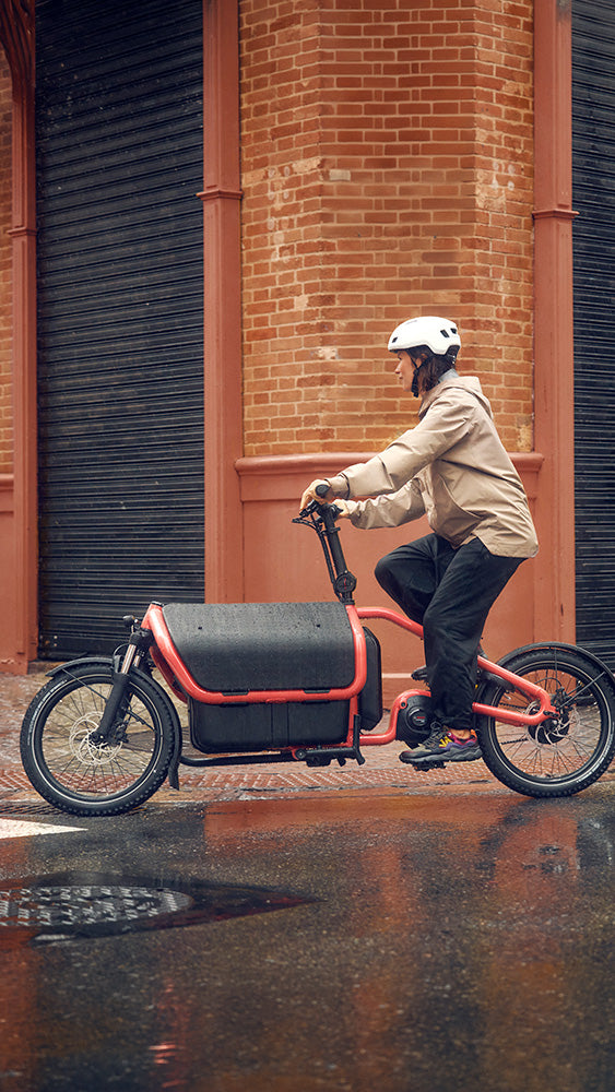 Riese & Müller Carrie2 Vario box family bike in Coral