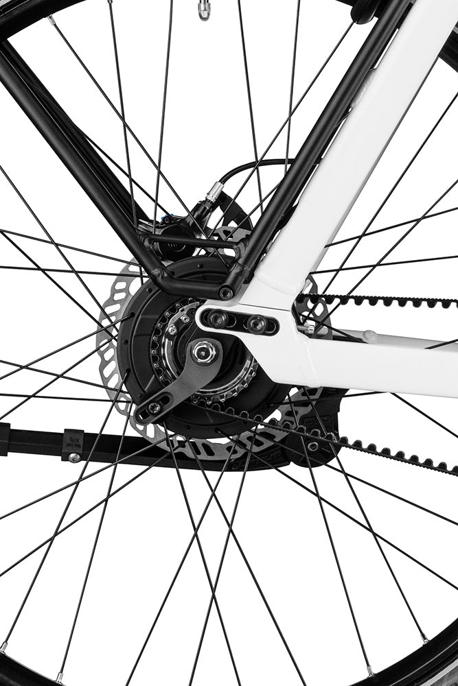 Enviolo rear hub with Gates belt drive and disc brake on the Charger4 Mixte