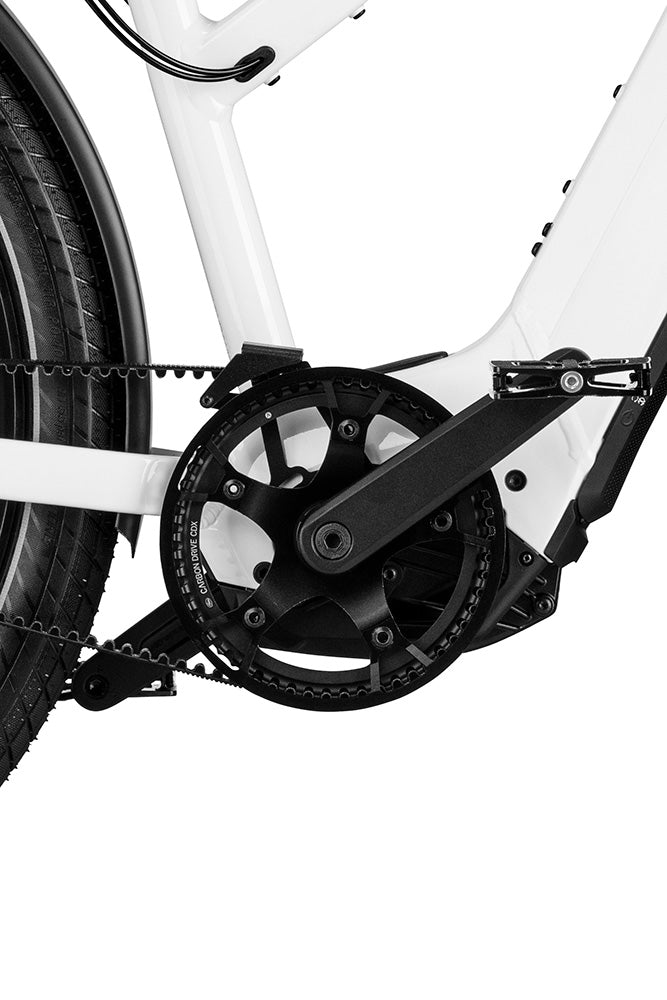Chainring and Gates belt drive at the Bosch motor on the Charger4 Mixte