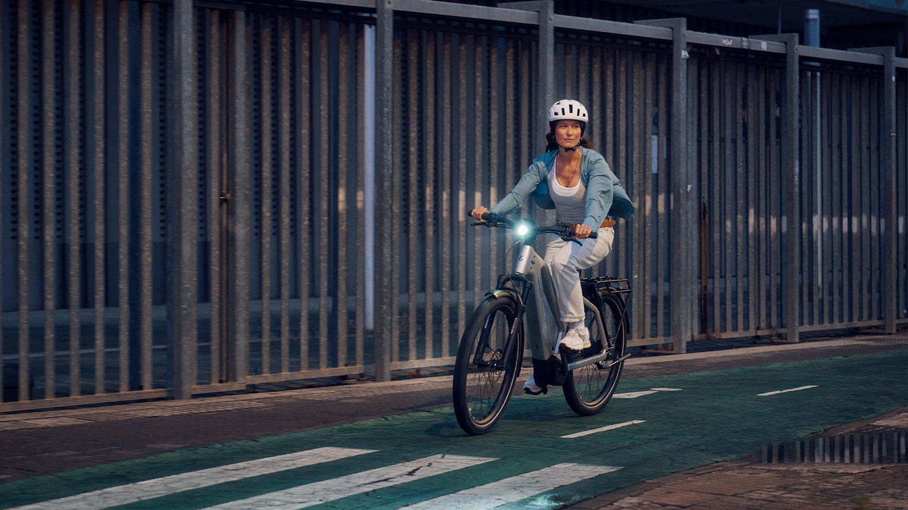 Riese & Müller Charger5 Mixte Vario in Grey