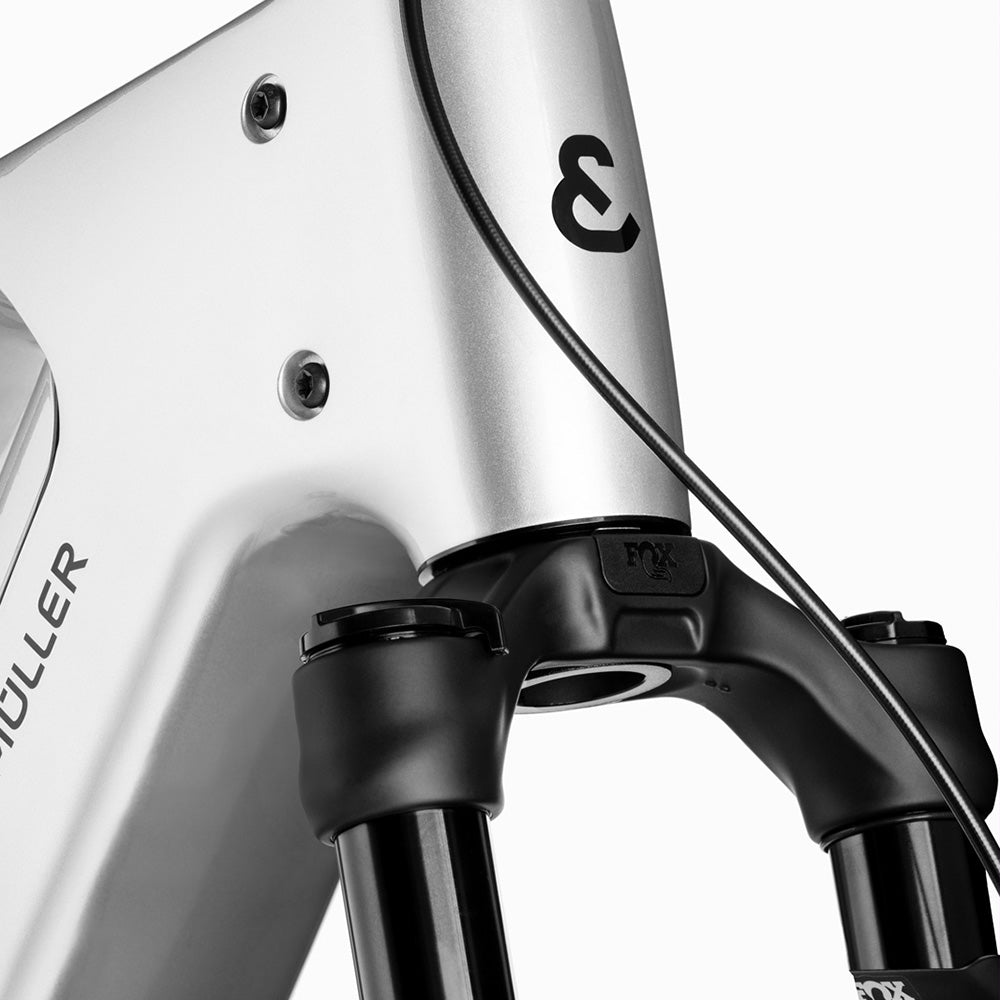 Riese & Müller Charger5 Mixte Vario in Grey