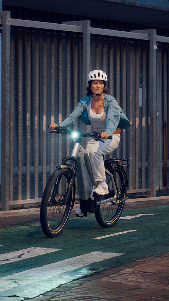 Riese & Müller Charger5 Mixte Vario in Grey