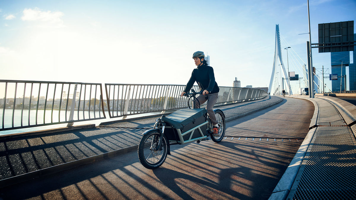 Riese & Müller Load5 60 electric cargo bike in Blue