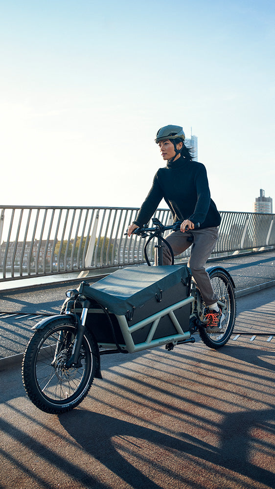 Riese & Müller Load5 60 electric cargo bike in Blue