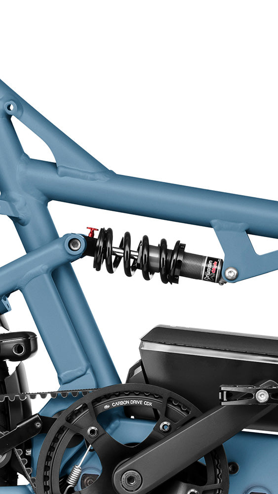 Riese & Müller Load5 60 electric cargo bike in Blue