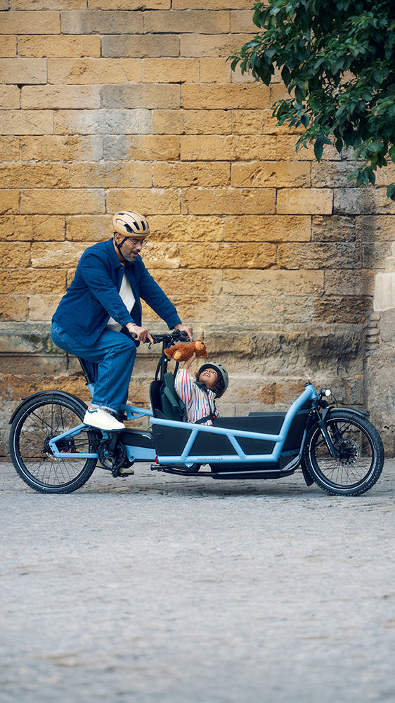 Riese & Müller Load5 75 Vario electric family bike in Arctic Blue