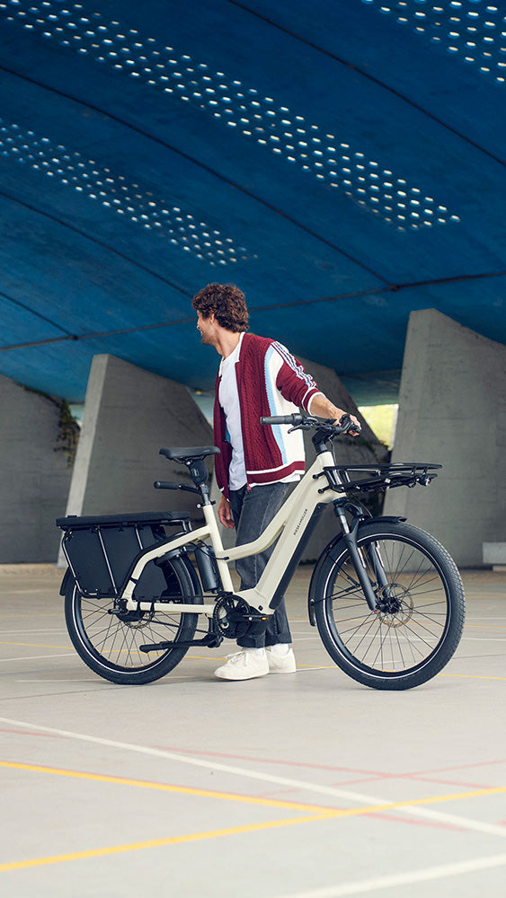Riese & Müller Multicharger3 Mixte Vario electric family bike in Desert