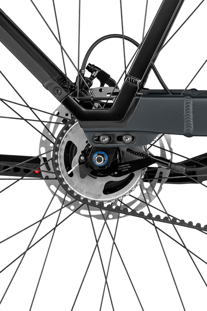 Rear hub with Gates belt drive and disc brake on the Nevo5 silent CORE