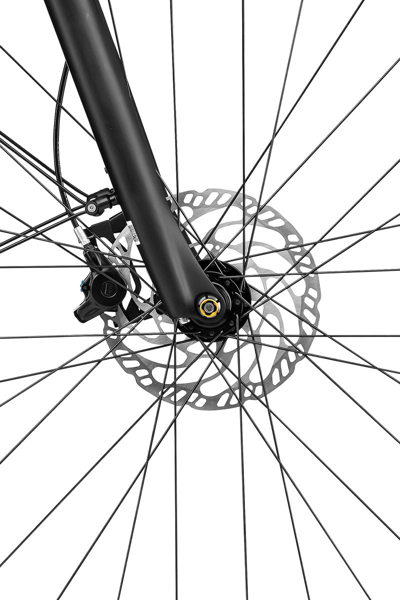 Riese & Müller Roadster Mixte — front disc brake rotor and caliper detail