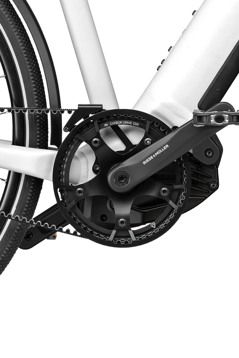 Riese & Müller Roadster Mixte vario — Gates Carbon Drive CDX belt chainring and crank close-up