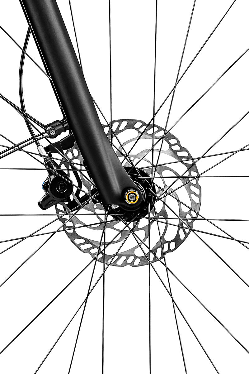 Riese & Müller Roadster — front disc brake rotor and caliper detail