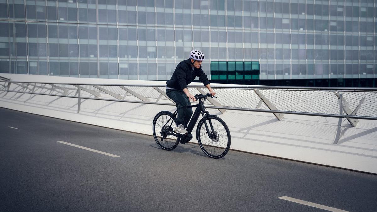 Riese & Müller Roadster4 in Black