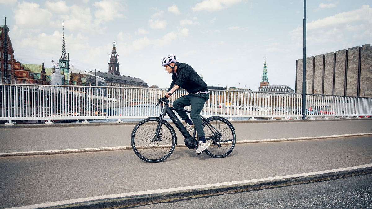 Riese & Müller Roadster4 in Black