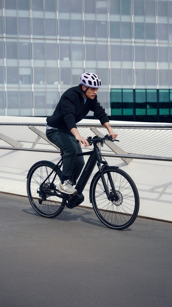 Riese & Müller Roadster4 in Black